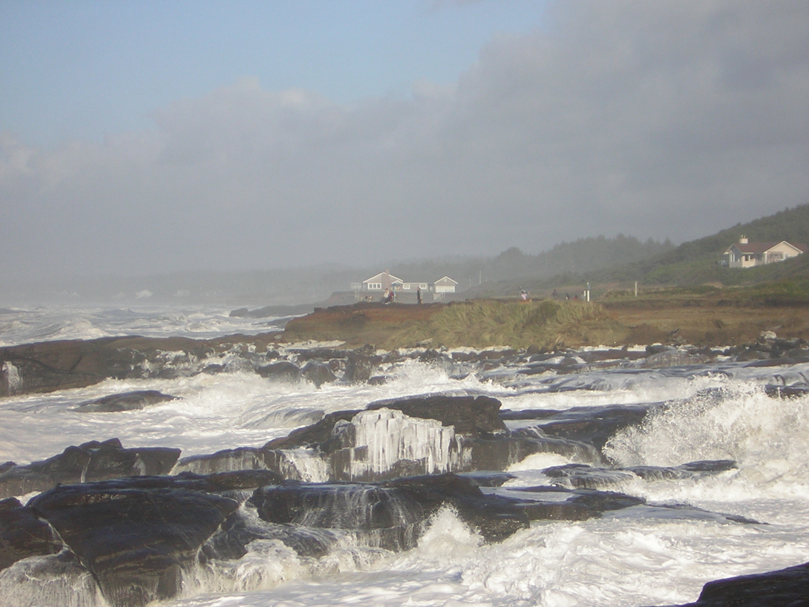 DSCN2921.jpg