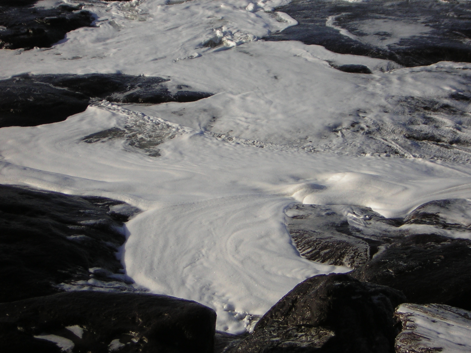 DSCN2923.jpg