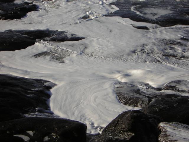 DSCN2923.jpg