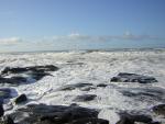 DSCN2924.jpg