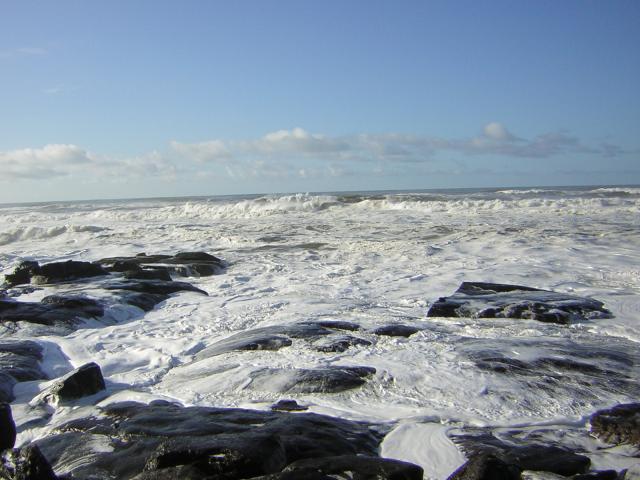 DSCN2924.jpg