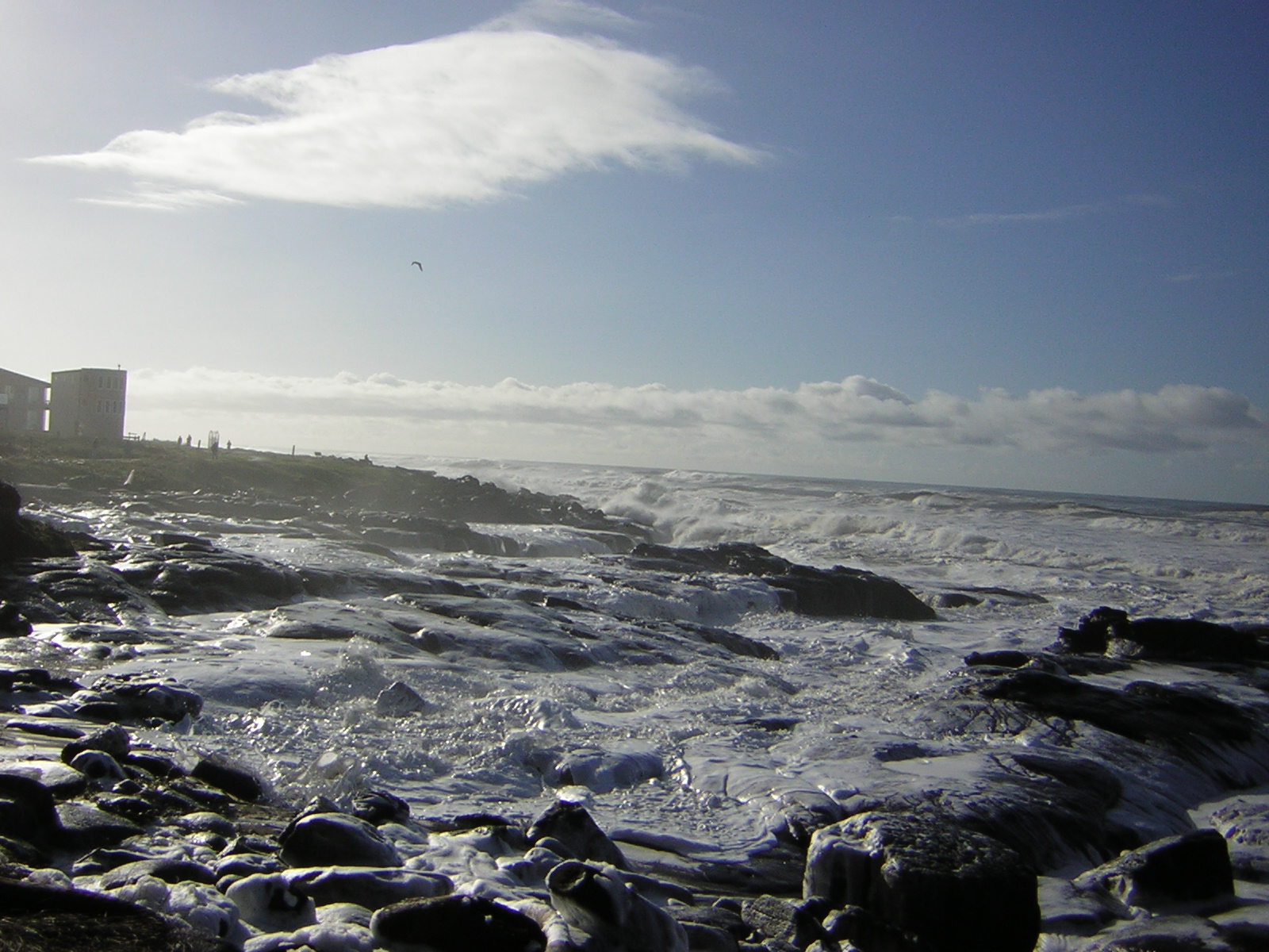 DSCN2926.jpg