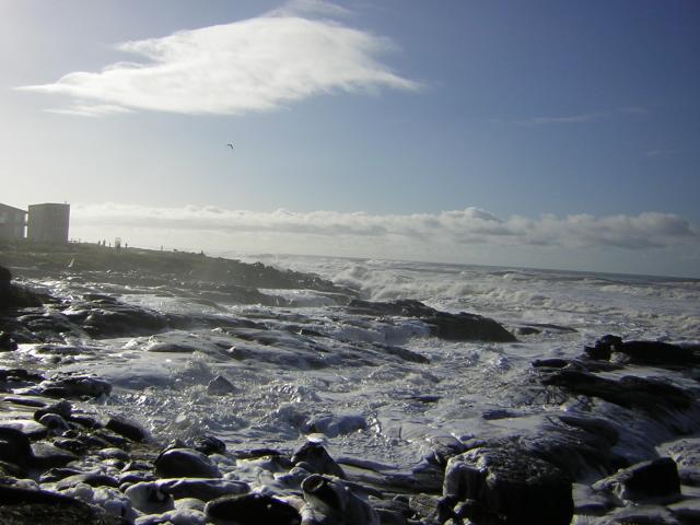 DSCN2926.jpg