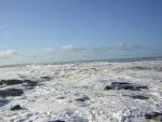 DSCN2928.jpg