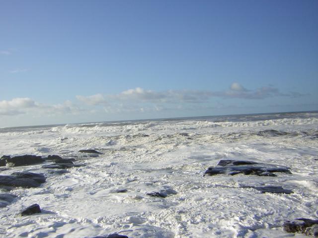 DSCN2928.jpg