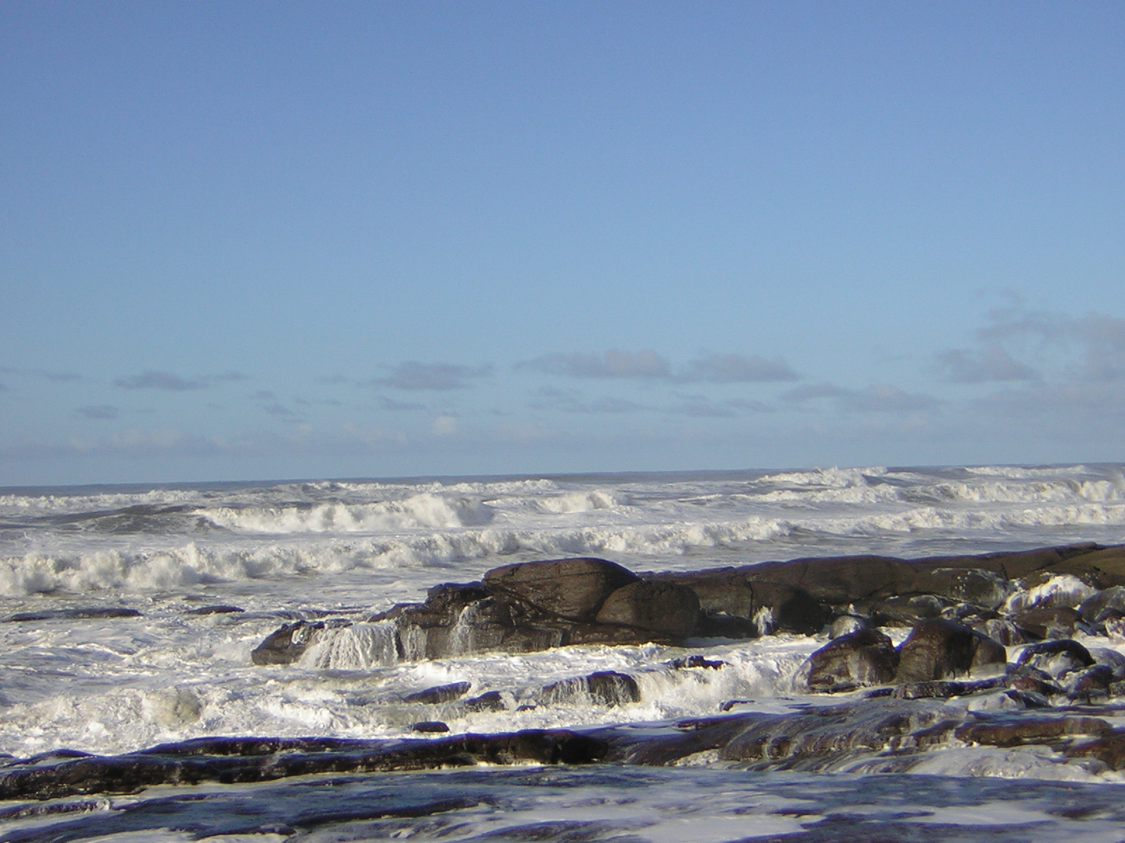 DSCN2929.jpg