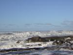 DSCN2929.jpg