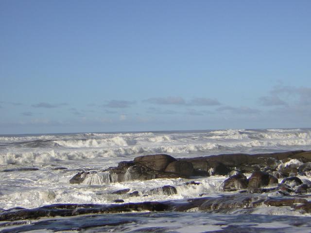 DSCN2929.jpg