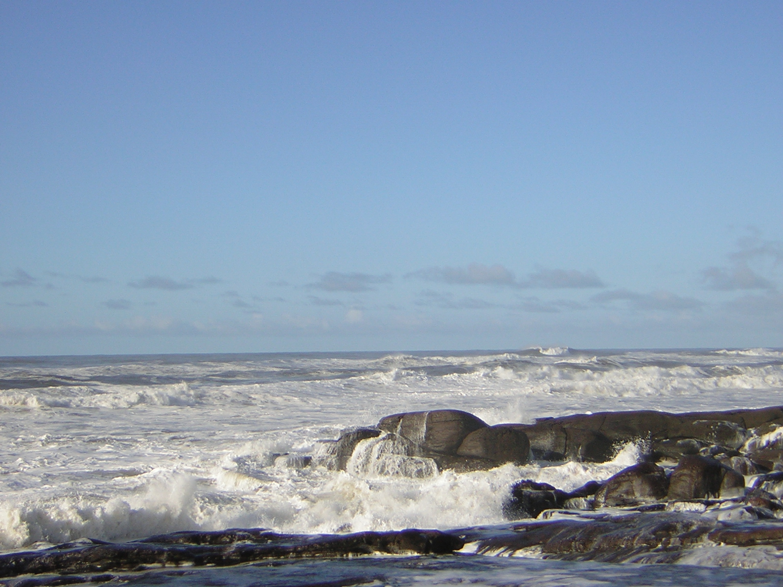 DSCN2930.jpg