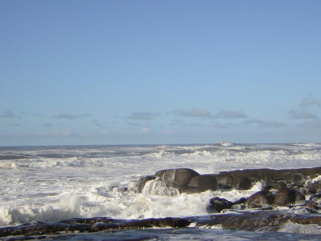 DSCN2930.jpg
