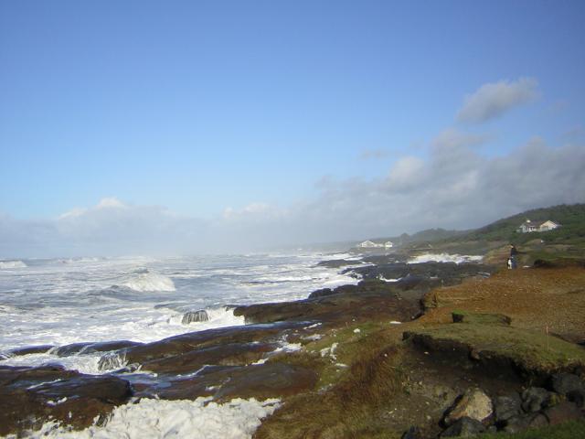 DSCN2933.jpg