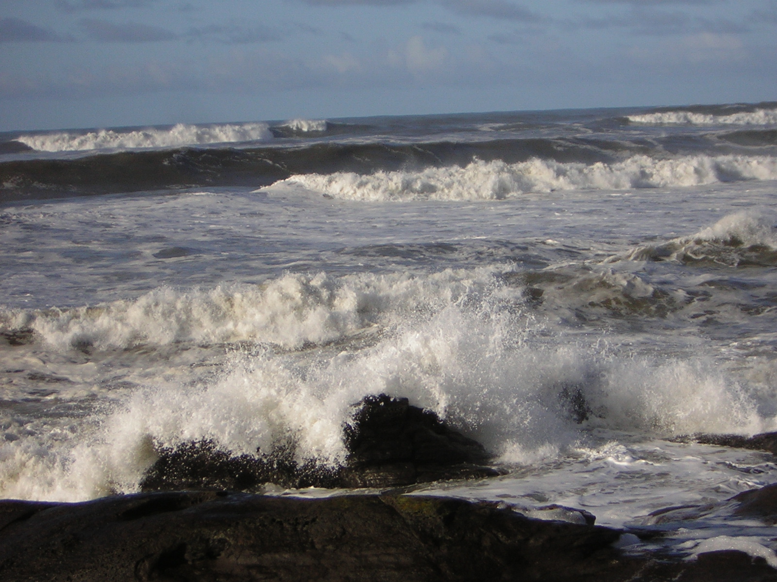 DSCN2934.jpg