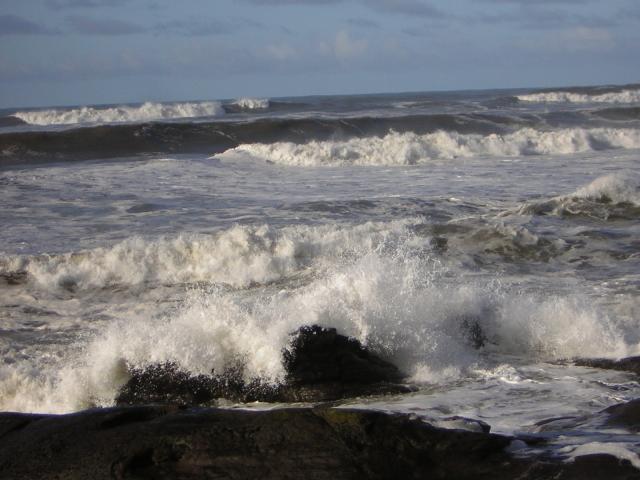 DSCN2934.jpg