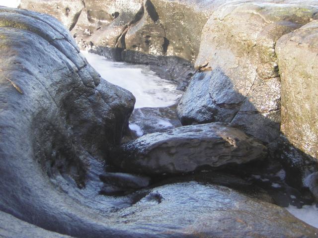 DSCN2935.jpg
