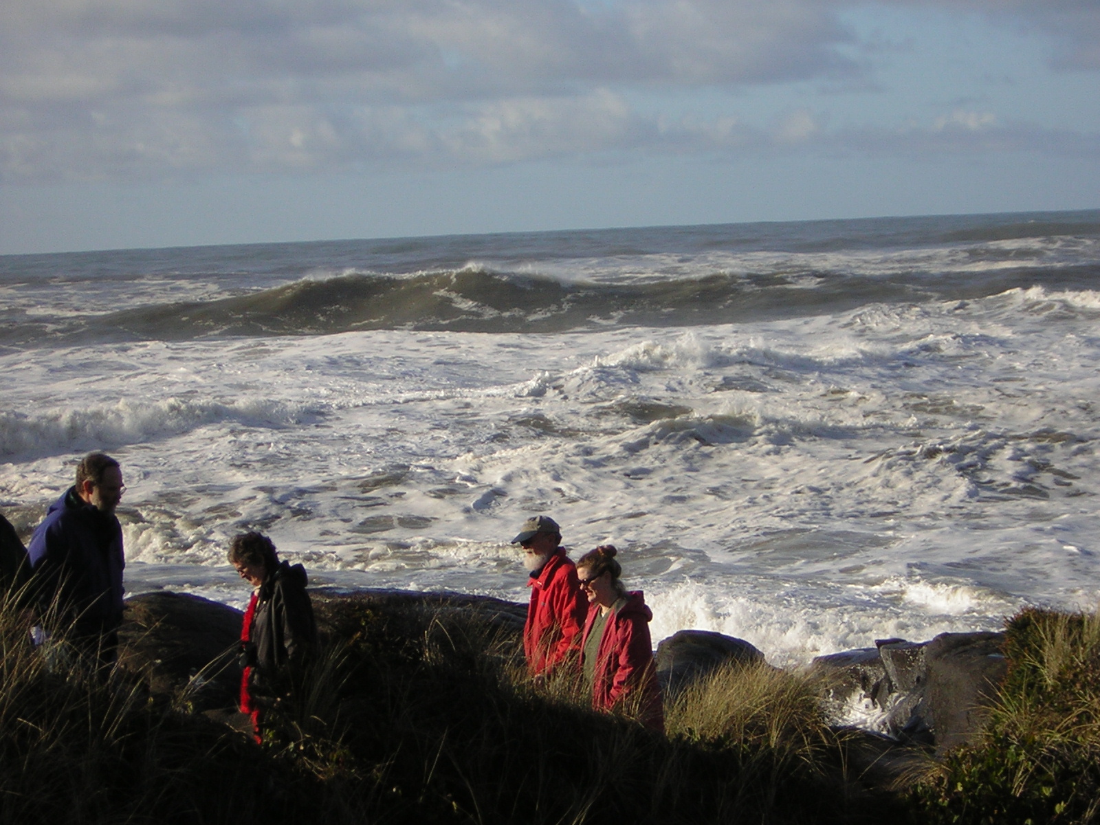 DSCN2936.jpg