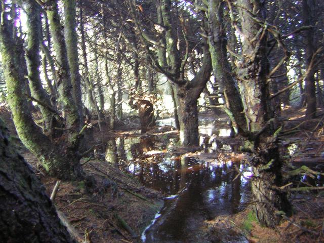 DSCN2938.jpg