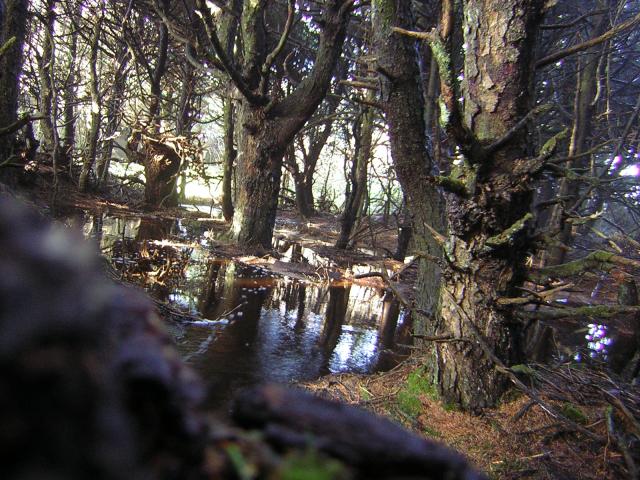 DSCN2940.jpg