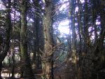 DSCN2941.jpg