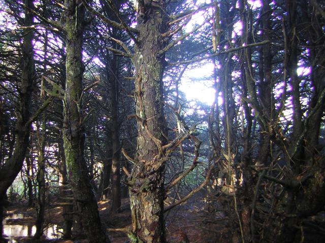DSCN2941.jpg
