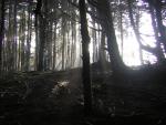 DSCN2942.jpg