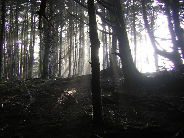 DSCN2942.jpg