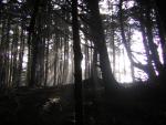 DSCN2943.jpg