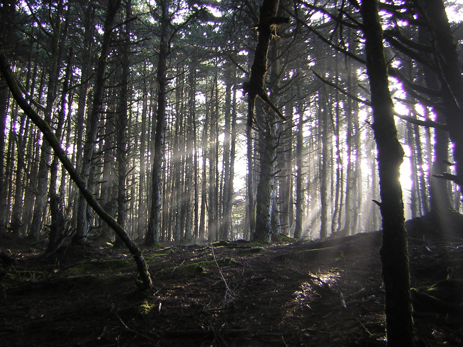 DSCN2944.jpg