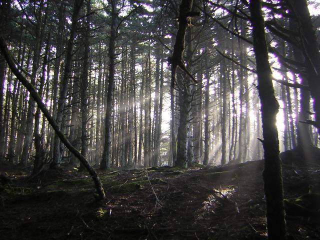 DSCN2944.jpg