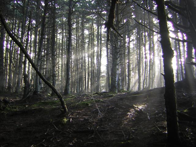 DSCN2945.jpg