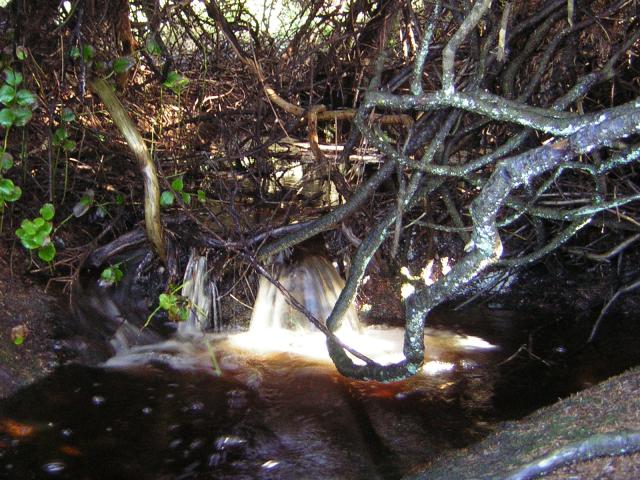 DSCN2947.jpg