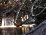 DSCN2949.jpg