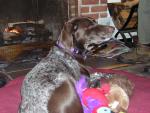 DSCN2952.jpg