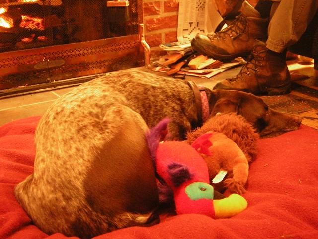DSCN2953.jpg