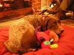 DSCN2955.jpg
