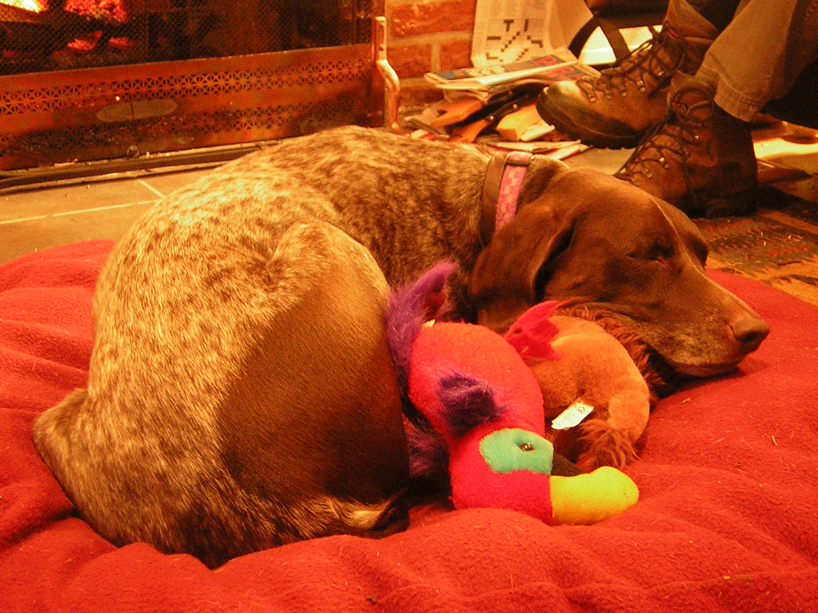 DSCN2958.jpg