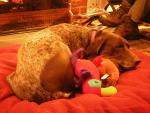 DSCN2958.jpg