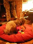 DSCN2959.jpg