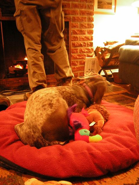 DSCN2959.jpg