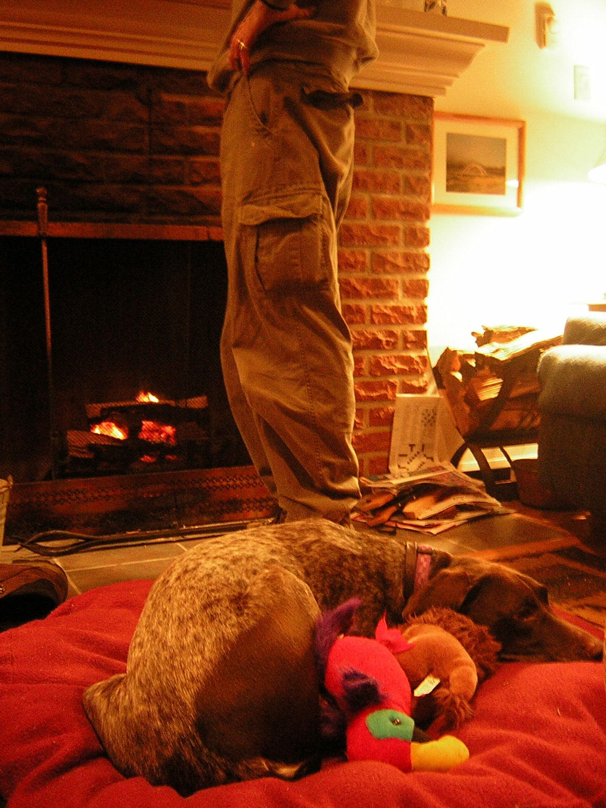 DSCN2960.jpg