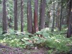 DSCN2652.jpg