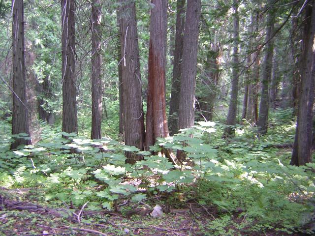 DSCN2652.jpg