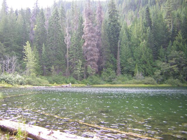 DSCN2655.jpg