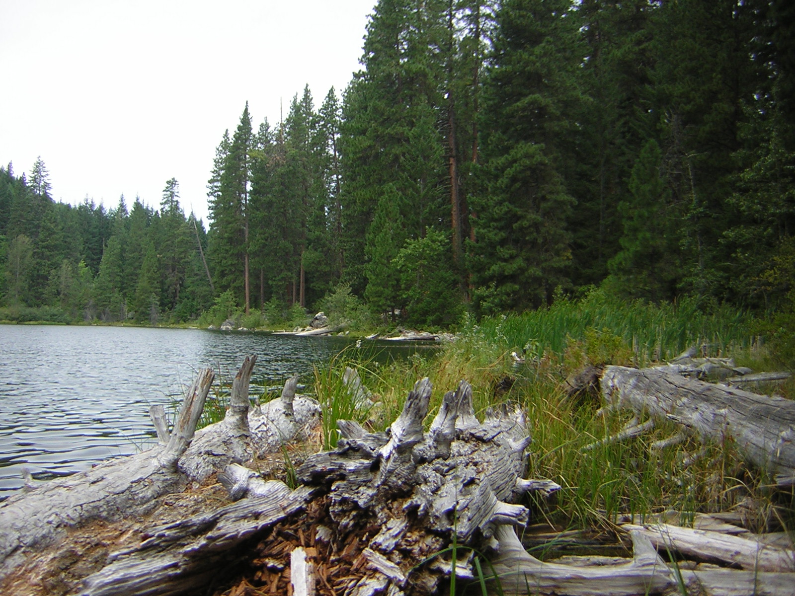 DSCN2657.jpg