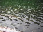 DSCN2658.jpg