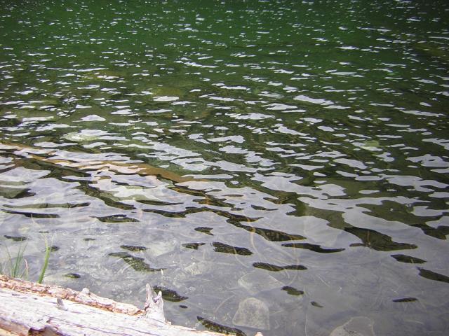 DSCN2658.jpg