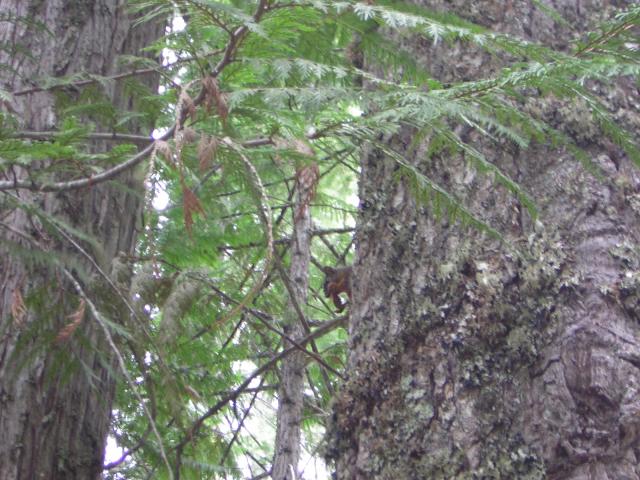 DSCN2659.jpg