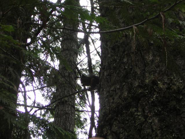 DSCN2660.jpg