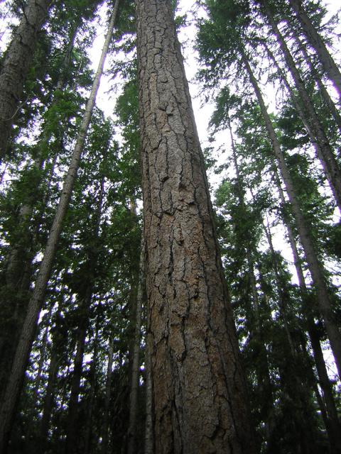 DSCN2661.jpg