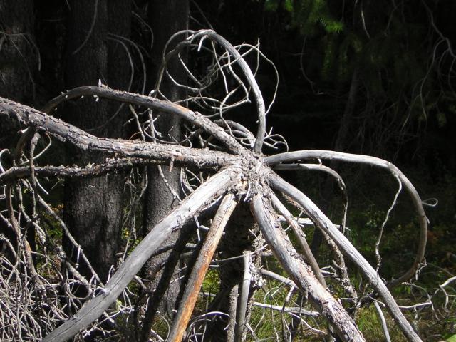 DSCN2691.jpg