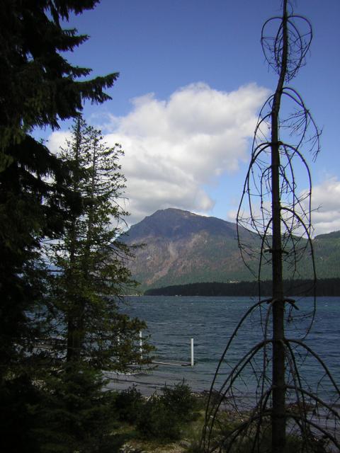 DSCN2695.jpg